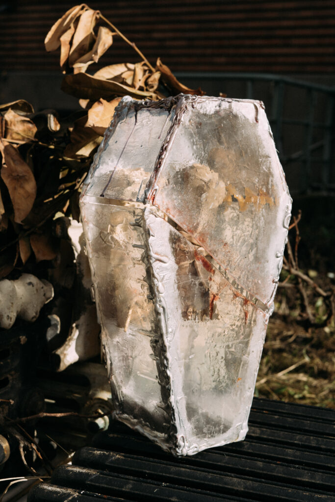 8_Looking for trouble_DSC3701